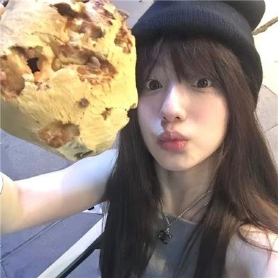 金刚斗恐龙